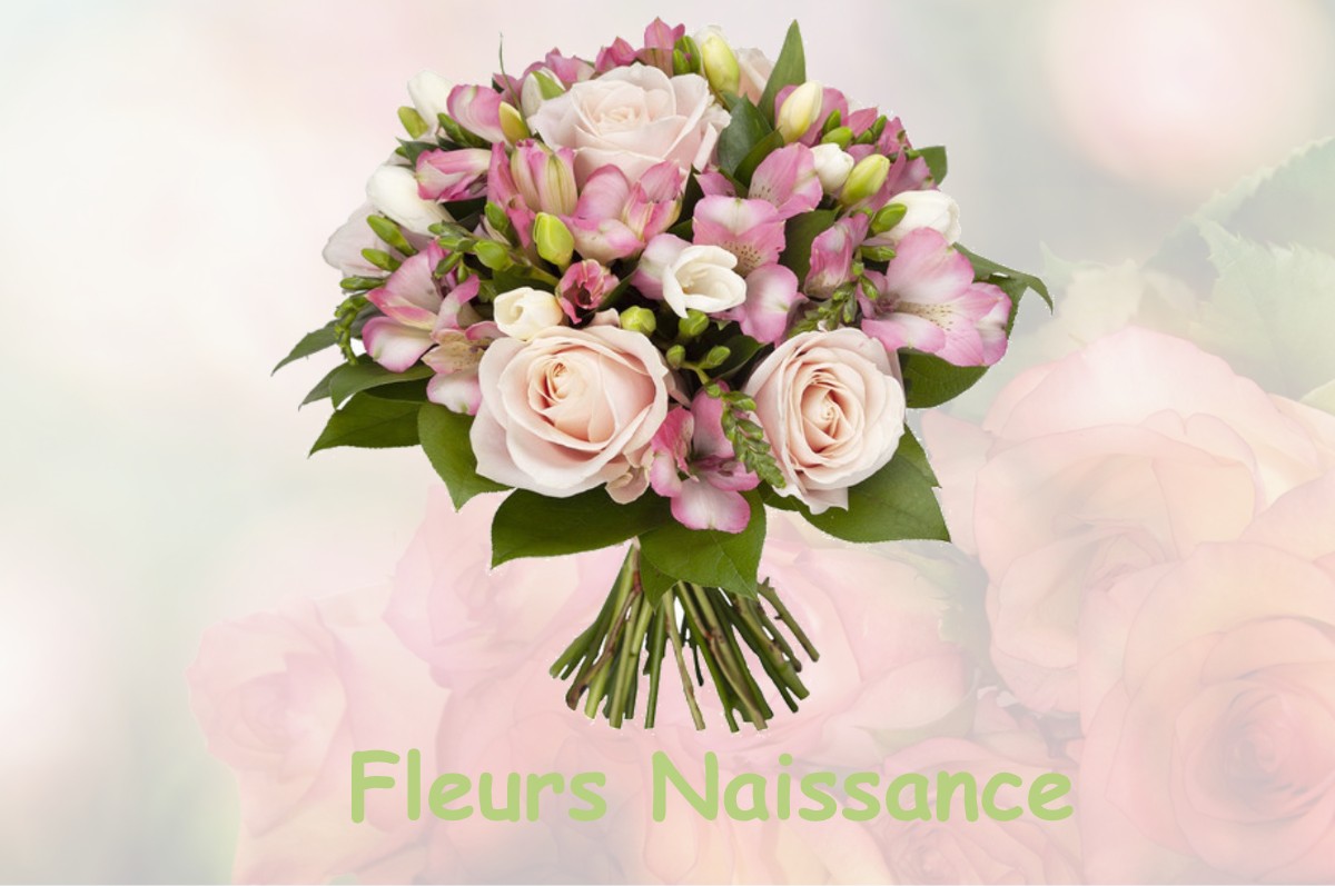 fleurs naissance NEUFCHATEL-SUR-AISNE